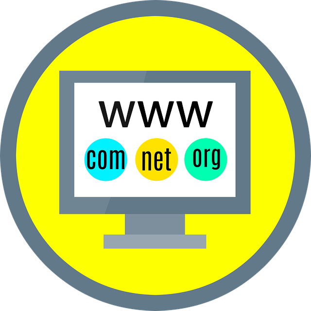 how much does a domain cost?
